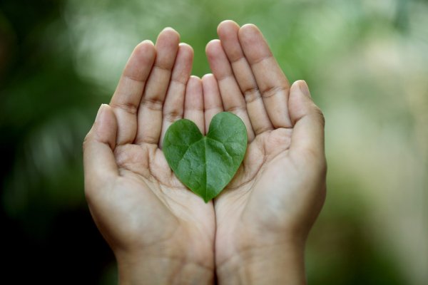 can veganism save the planet hands holding a heart-shaped leaf