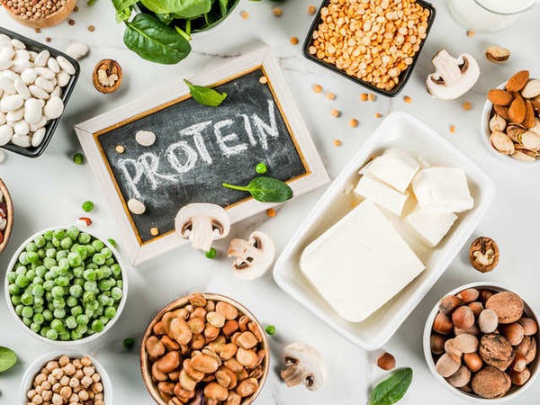 vegan protein alternatives