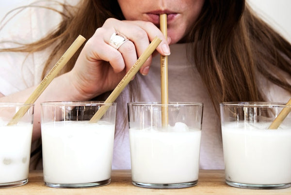 tastiest plant based milk